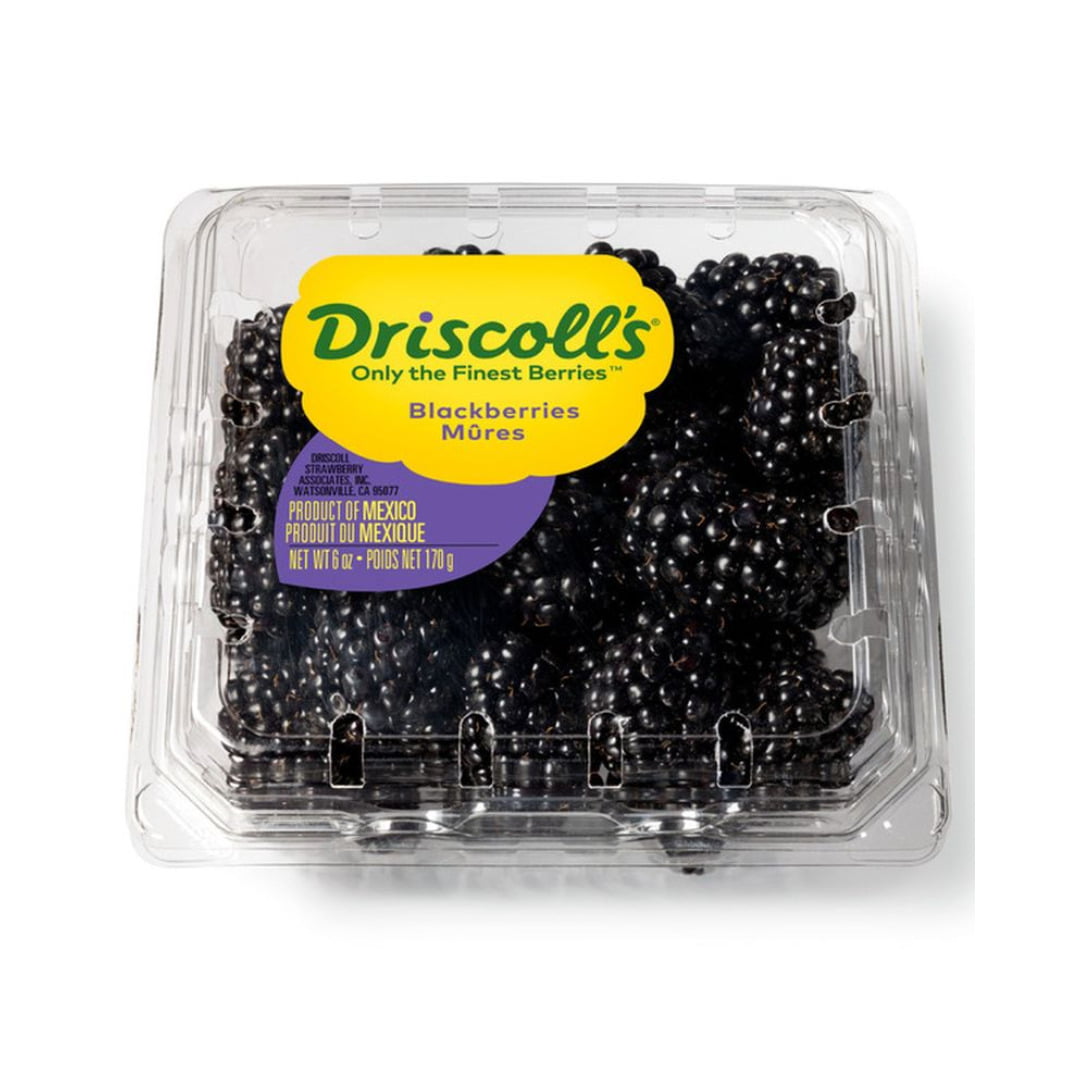 DRISCOLLS BLACKBERRIES
