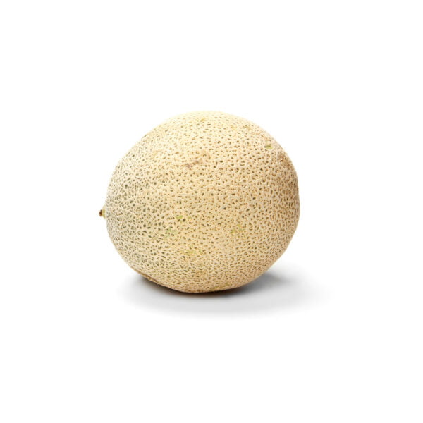 CANTALOPE