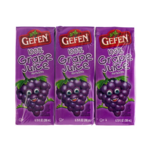 CASE 24 MINI GRAPE JUICE