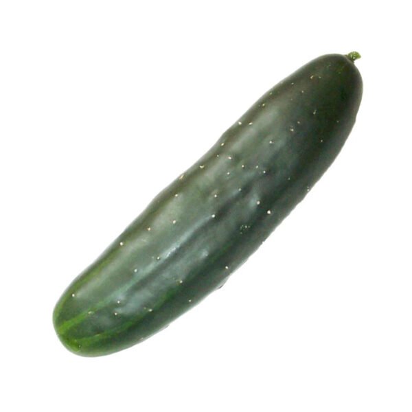 CUCUMBERS FLORIDA