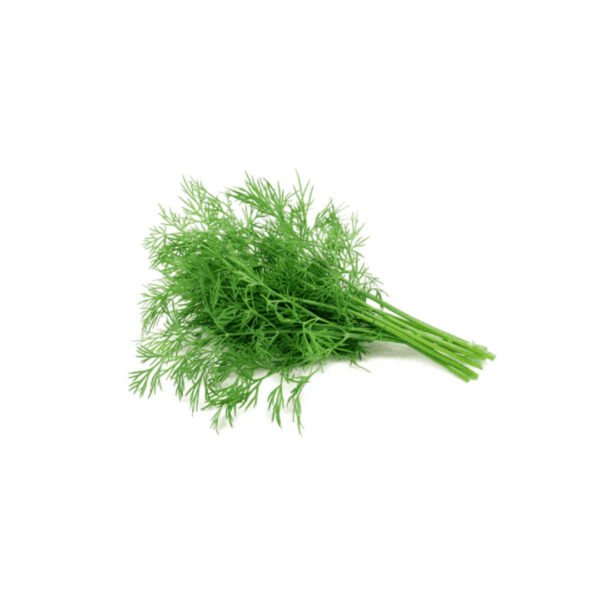 DILL