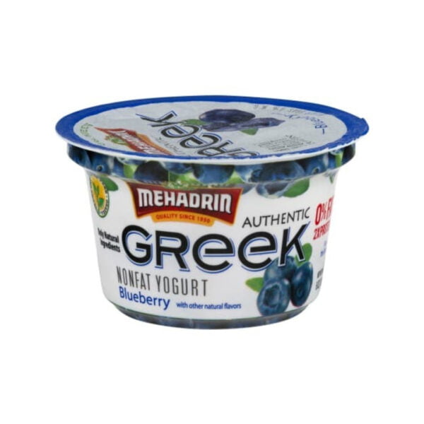 GREEK BLUEBERRY YOGURT