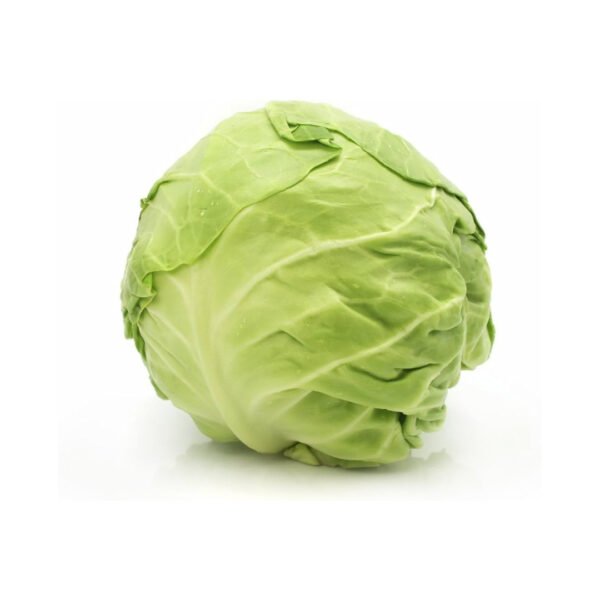 GREEN CABBAGE