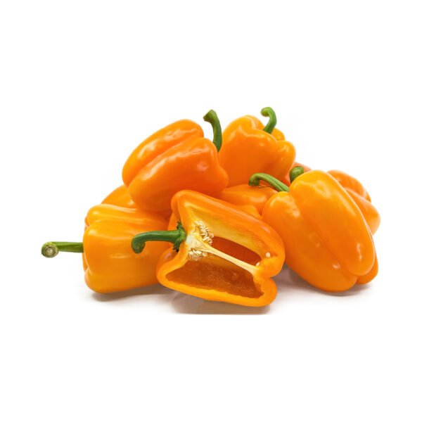 ORANGE HOLLAND PEPPER