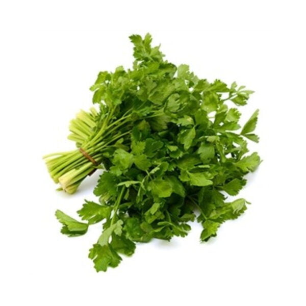 PARSLEY PASSOVER