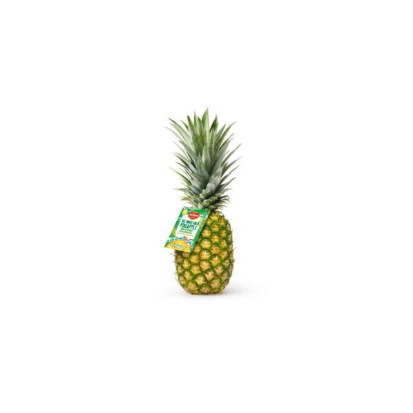 PINE APPLE