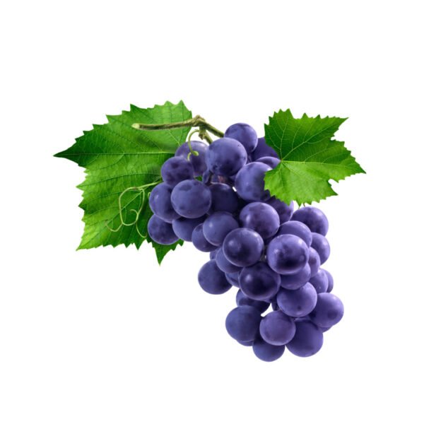 PURPLE GRAPES