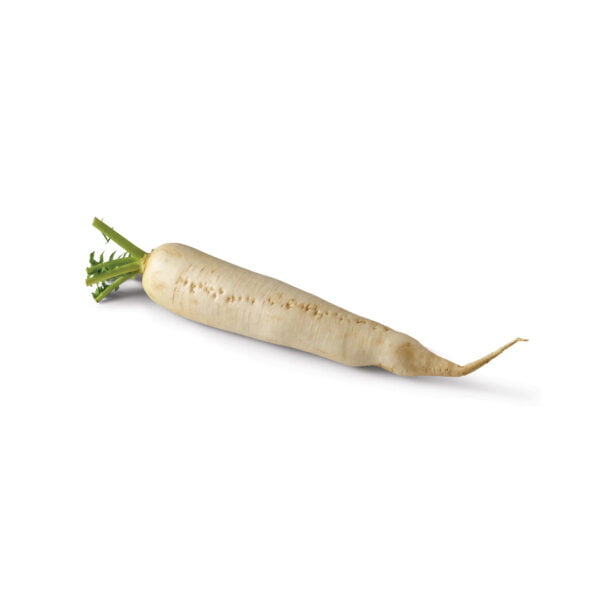 RADISH DIKON