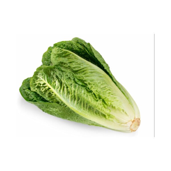 ROMAINE LETTUCE