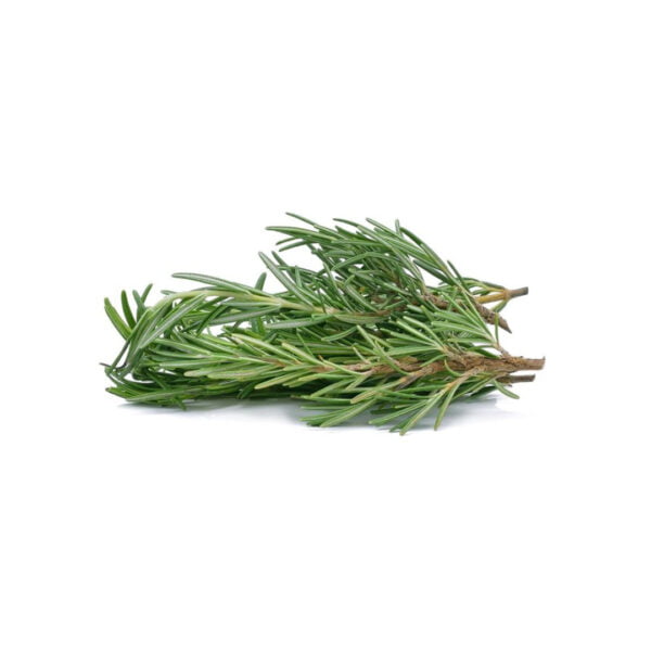 ROSEMARY