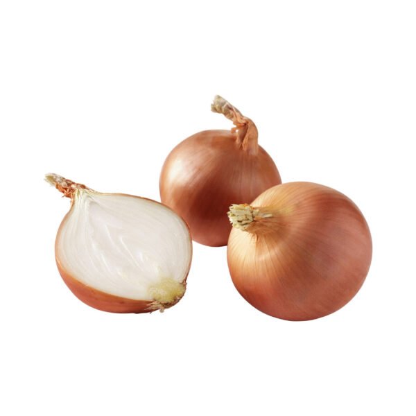 SPANISH ONION