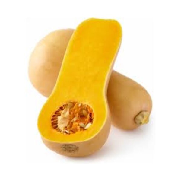 SQUASH BUTTERNUT