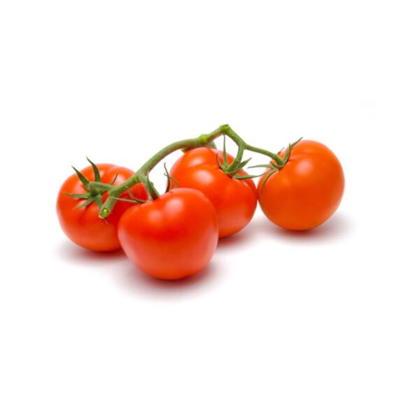 TOMATOES ON VINE