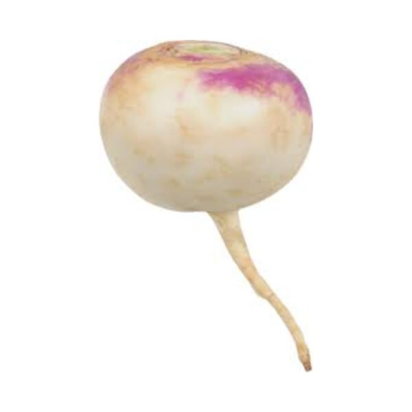 TURNIP