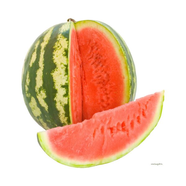 WATER MELON