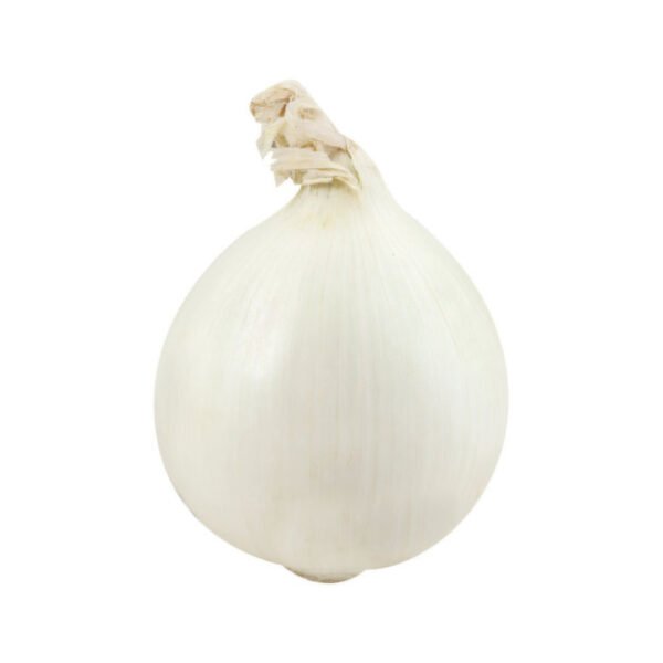 WHITE ONION