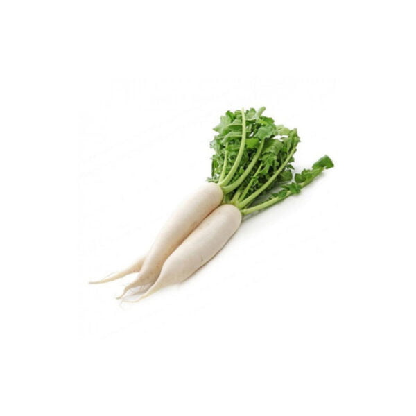 WHITE RADISH