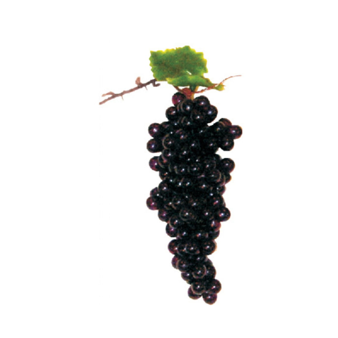 LUDMIR GRAPE CLUSTER