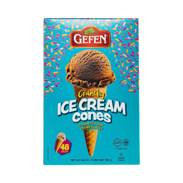 ICE CREAM CONES 48 CONES