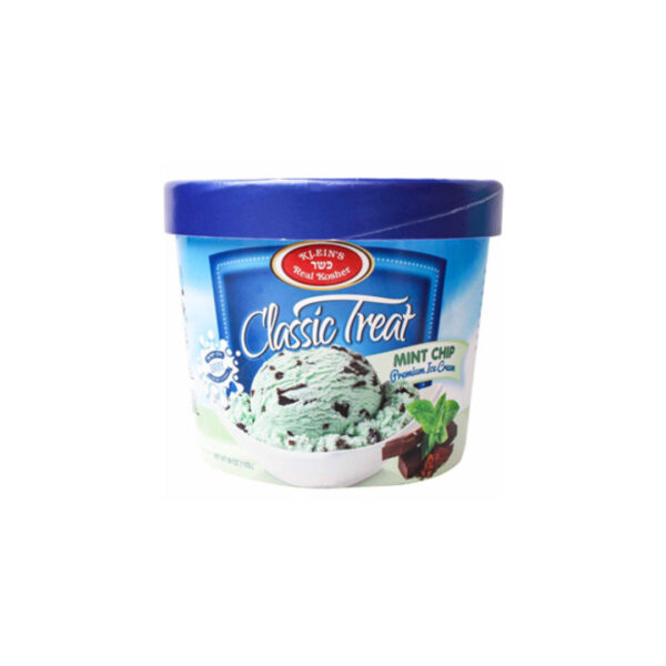 ICE CREAM MINT CHOCOLATE CHIP