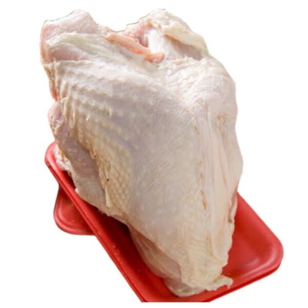 turkey breastw bone