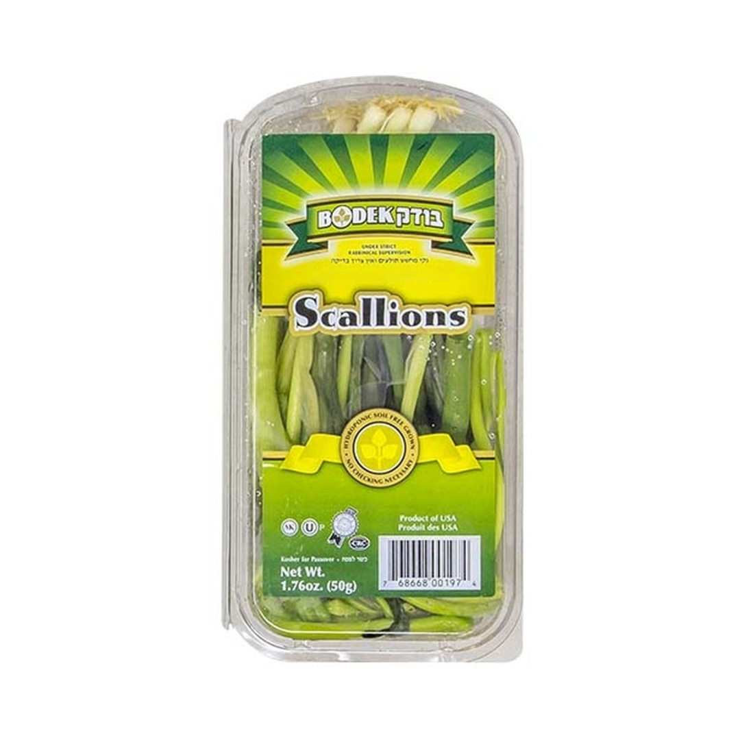 BODEK SCALLIONS