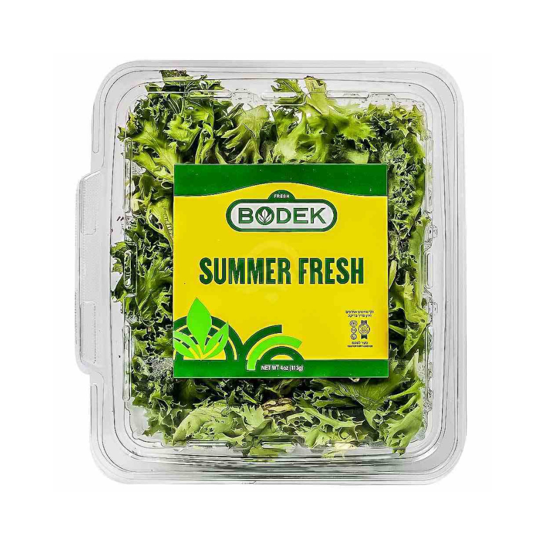 BODEK SUMMER FRESH