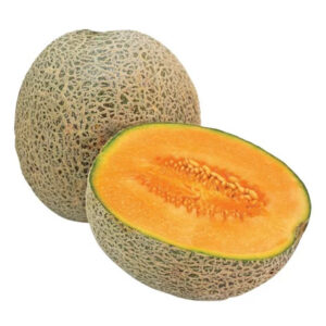 CANTALOUPE