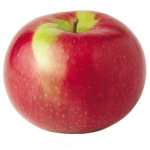 APPLE MCINTOSH