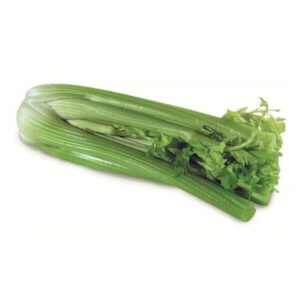 CELERY