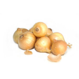 SWEET VIDALIA ONION